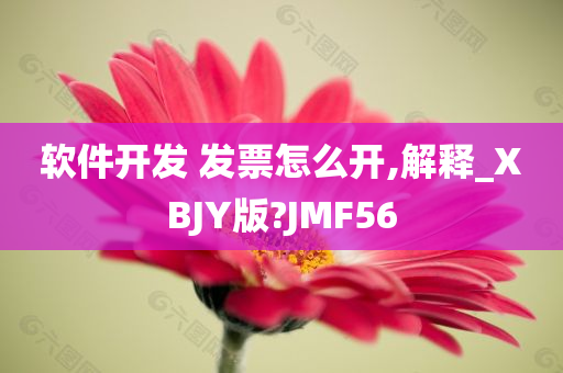 软件开发 发票怎么开,解释_XBJY版?JMF56