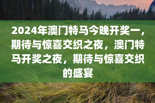 2024年澳门特马今晚开奖一，期待与惊喜交织之夜，澳门特马开奖之夜，期待与惊喜交织的盛宴