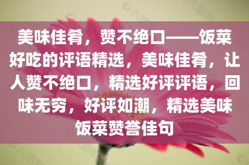 美味佳肴，赞不绝口——饭菜好吃的评语精选，美味佳肴，让人赞不绝口，精选好评评语，回味无穷，好评如潮，精选美味饭菜赞誉佳句