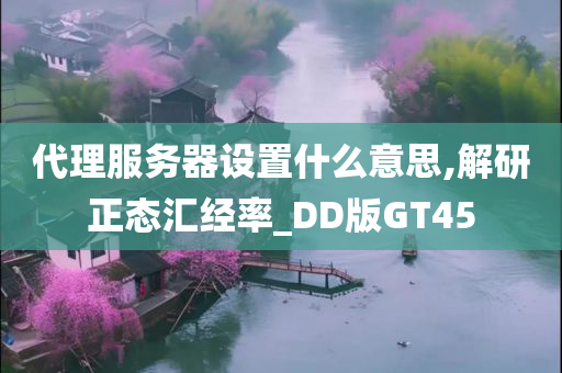 代理服务器设置什么意思,解研正态汇经率_DD版GT45