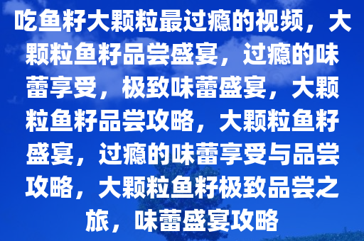 吃鱼籽大颗粒最过瘾的视频，大颗粒鱼籽品尝盛宴，过瘾的味蕾享受，极致味蕾盛宴，大颗粒鱼籽品尝攻略，大颗粒鱼籽盛宴，过瘾的味蕾享受与品尝攻略，大颗粒鱼籽极致品尝之旅，味蕾盛宴攻略