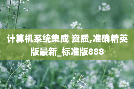 计算机系统集成 资质,准确精英版最新_标准版888