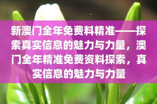 新澳门全年免费料精准——探索真实信息的魅力与力量，澳门全年精准免费资料探索，真实信息的魅力与力量