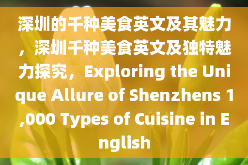 深圳的千种美食英文及其魅力，深圳千种美食英文及独特魅力探究，Exploring the Unique Allure of Shenzhens 1,000 Types of Cuisine in English