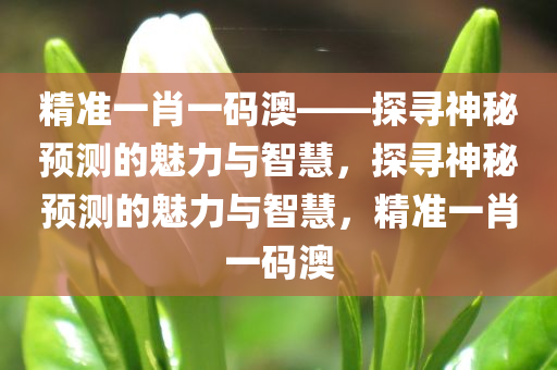 精准一肖一码澳——探寻神秘预测的魅力与智慧，探寻神秘预测的魅力与智慧，精准一肖一码澳