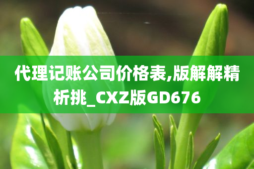 代理记账公司价格表,版解解精析挑_CXZ版GD676