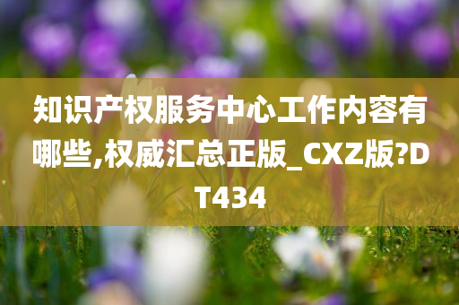 知识产权服务中心工作内容有哪些,权威汇总正版_CXZ版?DT434