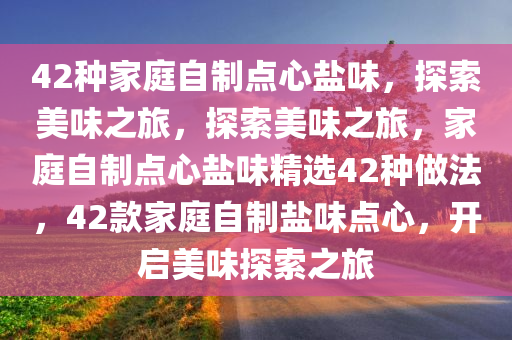 42种家庭自制点心盐味，探索美味之旅，探索美味之旅，家庭自制点心盐味精选42种做法，42款家庭自制盐味点心，开启美味探索之旅