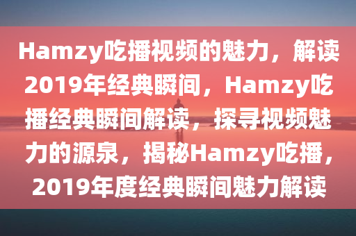 Hamzy吃播视频的魅力，解读2019年经典瞬间，Hamzy吃播经典瞬间解读，探寻视频魅力的源泉，揭秘Hamzy吃播，2019年度经典瞬间魅力解读