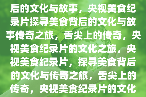 央视美食纪录片，探寻美食背后的文化与故事，央视美食纪录片探寻美食背后的文化与故事传奇之旅，舌尖上的传奇，央视美食纪录片的文化之旅，央视美食纪录片，探寻美食背后的文化与传奇之旅，舌尖上的传奇，央视美食纪录片的文化与故事之旅