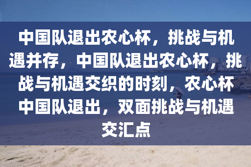 中国队退出农心杯，挑战与机遇并存，中国队退出农心杯，挑战与机遇交织的时刻，农心杯中国队退出，双面挑战与机遇交汇点