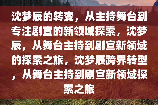 沈梦辰的转变，从主持舞台到专注剧宣的新领域探索，沈梦辰，从舞台主持到剧宣新领域的探索之旅，沈梦辰跨界转型，从舞台主持到剧宣新领域探索之旅