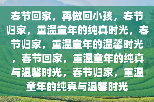 春节回家，再做回小孩，春节归家，重温童年的纯真时光，春节归家，重温童年的温馨时光，春节回家，重温童年的纯真与温馨时光，春节归家，重温童年的纯真与温馨时光