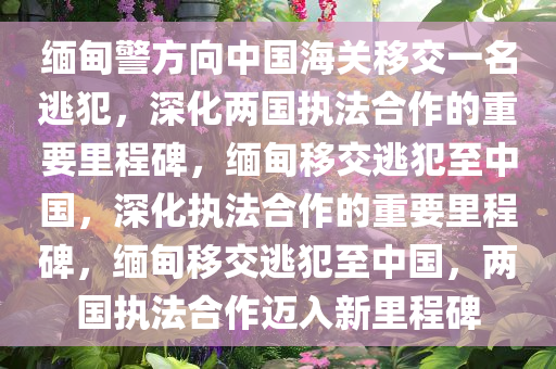 缅甸警方向中国海关移交一名逃犯，深化两国执法合作的重要里程碑，缅甸移交逃犯至中国，深化执法合作的重要里程碑，缅甸移交逃犯至中国，两国执法合作迈入新里程碑