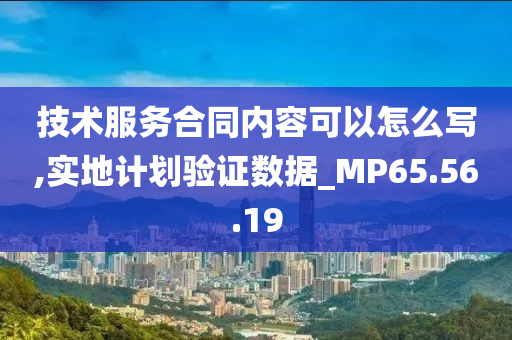 技术服务合同内容可以怎么写,实地计划验证数据_MP65.56.19