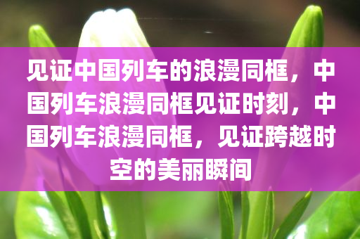 见证中国列车的浪漫同框，中国列车浪漫同框见证时刻，中国列车浪漫同框，见证跨越时空的美丽瞬间