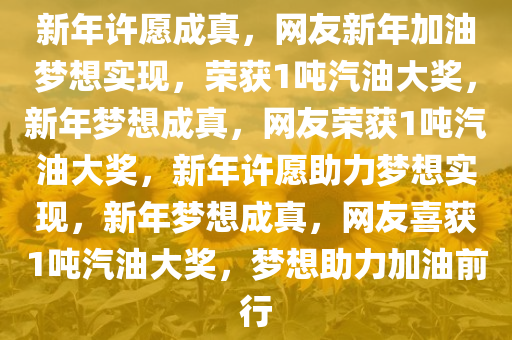 新年许愿成真，网友新年加油梦想实现，荣获1吨汽油大奖，新年梦想成真，网友荣获1吨汽油大奖，新年许愿助力梦想实现，新年梦想成真，网友喜获1吨汽油大奖，梦想助力加油前行