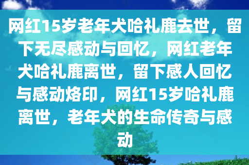 2025年1月28日 第3页