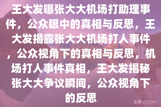 王大发曝张大大机场打助理事件，公众眼中的真相与反思，王大发揭露张大大机场打人事件，公众视角下的真相与反思，机场打人事件真相，王大发揭秘张大大争议瞬间，公众视角下的反思