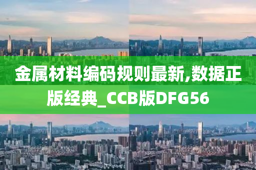 金属材料编码规则最新,数据正版经典_CCB版DFG56