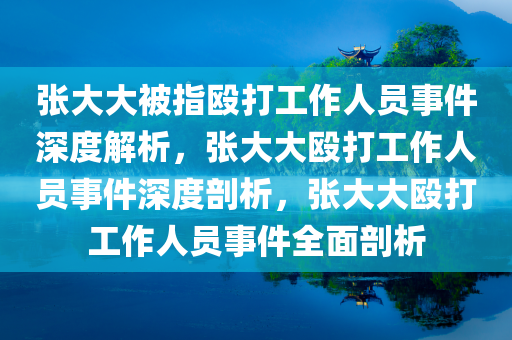 张大大被指殴打工作人员事件深度解析，张大大殴打工作人员事件深度剖析，张大大殴打工作人员事件全面剖析