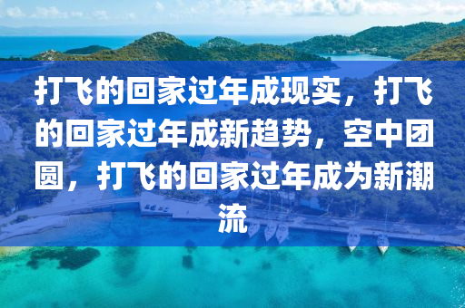 打飞的回家过年成现实，打飞的回家过年成新趋势，空中团圆，打飞的回家过年成为新潮流