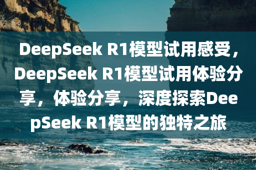 DeepSeek R1模型试用感受，DeepSeek R1模型试用体验分享，体验分享，深度探索DeepSeek R1模型的独特之旅