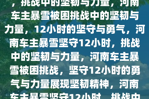 河南暴雪被困12小时车主发声，挑战中的坚韧与力量，河南车主暴雪被困挑战中的坚韧与力量，12小时的坚守与勇气，河南车主暴雪坚守12小时，挑战中的坚韧与力量，河南车主暴雪被困挑战，坚守12小时的勇气与力量展现坚韧精神，河南车主暴雪坚守12小时，挑战中的坚韧与力量展现