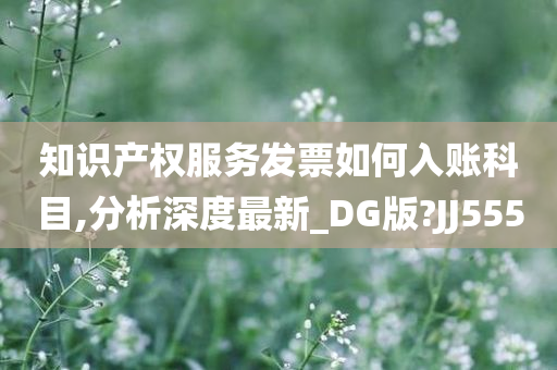 知识产权服务发票如何入账科目,分析深度最新_DG版?JJ555