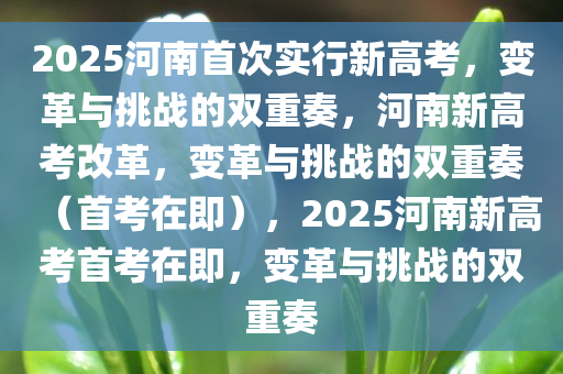 2025河南首次实行新高考，变革与挑战的双重奏，河南新高考改革，变革与挑战的双重奏（首考在即），2025河南新高考首考在即，变革与挑战的双重奏