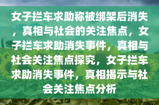 女子拦车求助称被绑架后消失，真相与社会的关注焦点，女子拦车求助消失事件，真相与社会关注焦点探究，女子拦车求助消失事件，真相揭示与社会关注焦点分析