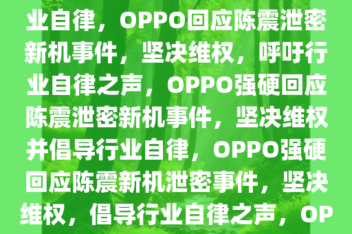 OPPO发声回应陈震泄密新机事件，坚定维护权益，呼吁行业自律，OPPO回应陈震泄密新机事件，坚决维权，呼吁行业自律之声，OPPO强硬回应陈震泄密新机事件，坚决维权并倡导行业自律，OPPO强硬回应陈震新机泄密事件，坚决维权，倡导行业自律之声，OPPO强硬捍卫新机泄密事件，坚决维权并倡导行业自律