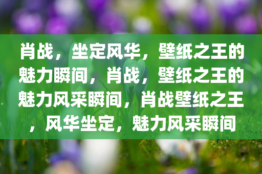 肖战，坐定风华，壁纸之王的魅力瞬间，肖战，壁纸之王的魅力风采瞬间，肖战壁纸之王，风华坐定，魅力风采瞬间