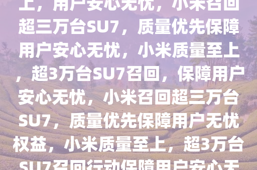 小米召回超3万台SU7，质量至上，用户安心无忧，小米召回超三万台SU7，质量优先保障用户安心无忧，小米质量至上，超3万台SU7召回，保障用户安心无忧，小米召回超三万台SU7，质量优先保障用户无忧权益，小米质量至上，超3万台SU7召回行动保障用户安心无忧