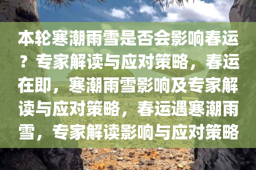 本轮寒潮雨雪是否会影响春运？专家解读与应对策略，春运在即，寒潮雨雪影响及专家解读与应对策略，春运遇寒潮雨雪，专家解读影响与应对策略