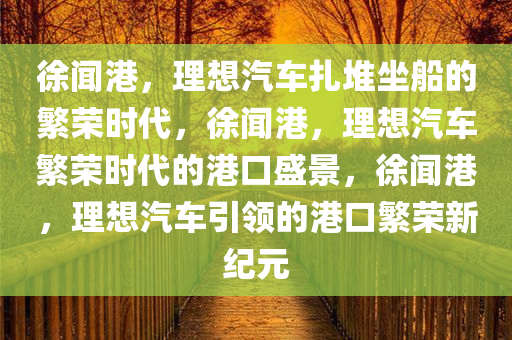 徐闻港，理想汽车扎堆坐船的繁荣时代，徐闻港，理想汽车繁荣时代的港口盛景，徐闻港，理想汽车引领的港口繁荣新纪元