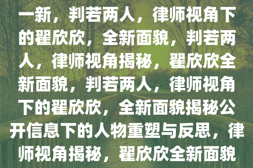 律师眼中的翟欣欣，面貌焕然一新，判若两人，律师视角下的翟欣欣，全新面貌，判若两人，律师视角揭秘，翟欣欣全新面貌，判若两人，律师视角下的翟欣欣，全新面貌揭秘公开信息下的人物重塑与反思，律师视角揭秘，翟欣欣全新面貌与人物重塑