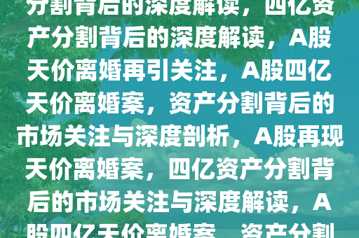 A股再现天价离婚，四亿资产分割背后的深度解读，四亿资产分割背后的深度解读，A股天价离婚再引关注，A股四亿天价离婚案，资产分割背后的市场关注与深度剖析，A股再现天价离婚案，四亿资产分割背后的市场关注与深度解读，A股四亿天价离婚案，资产分割背后的市场焦点解析