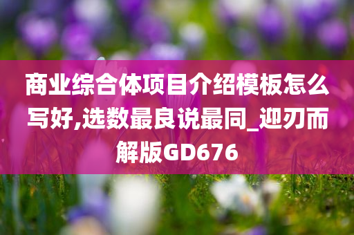 商业综合体项目介绍模板怎么写好,选数最良说最同_迎刃而解版GD676