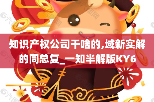 知识产权公司干啥的,域新实解的同总复_一知半解版KY6