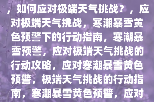 气象台发布寒潮暴雪黄色预警，如何应对极端天气挑战？，应对极端天气挑战，寒潮暴雪黄色预警下的行动指南，寒潮暴雪预警，应对极端天气挑战的行动攻略，应对寒潮暴雪黄色预警，极端天气挑战的行动指南，寒潮暴雪黄色预警，应对极端天气挑战的行动攻略