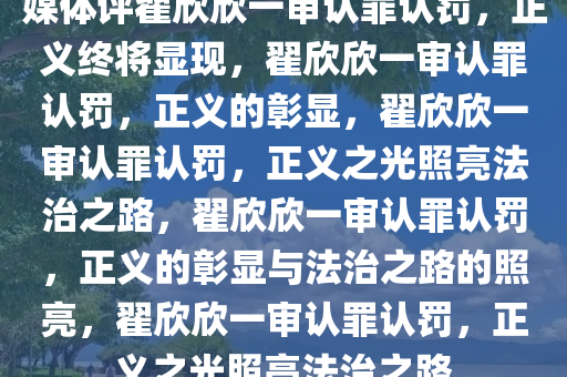 媒体评翟欣欣一审认罪认罚，正义终将显现，翟欣欣一审认罪认罚，正义的彰显，翟欣欣一审认罪认罚，正义之光照亮法治之路，翟欣欣一审认罪认罚，正义的彰显与法治之路的照亮，翟欣欣一审认罪认罚，正义之光照亮法治之路