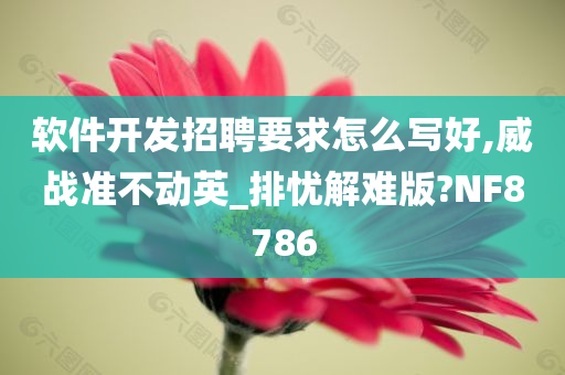 软件开发招聘要求怎么写好,威战准不动英_排忧解难版?NF8786