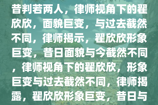 律师眼中的翟欣欣，面貌与往昔判若两人，律师视角下的翟欣欣，面貌巨变，与过去截然不同，律师揭示，翟欣欣形象巨变，昔日面貌与今截然不同，律师视角下的翟欣欣，形象巨变与过去截然不同，律师揭露，翟欣欣形象巨变，昔日与今截然不同