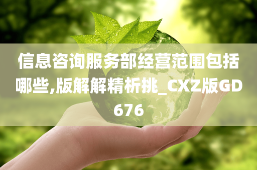 信息咨询服务部经营范围包括哪些,版解解精析挑_CXZ版GD676