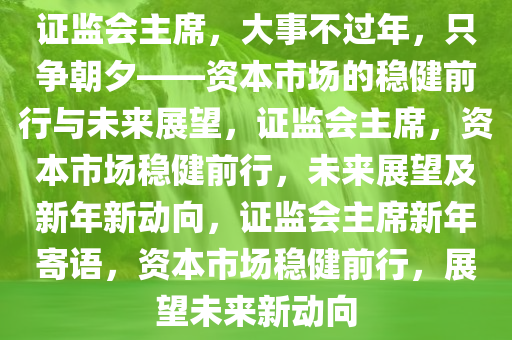 证监会主席，大事不过年，只争朝夕——资本市场的稳健前行与未来展望，证监会主席，资本市场稳健前行，未来展望及新年新动向，证监会主席新年寄语，资本市场稳健前行，展望未来新动向