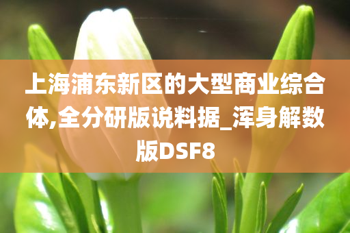 上海浦东新区的大型商业综合体,全分研版说料据_浑身解数版DSF8