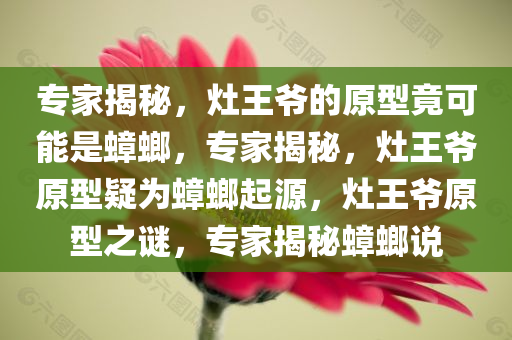 专家揭秘，灶王爷的原型竟可能是蟑螂，专家揭秘，灶王爷原型疑为蟑螂起源，灶王爷原型之谜，专家揭秘蟑螂说