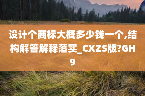 设计个商标大概多少钱一个,结构解答解释落实_CXZS版?GH9