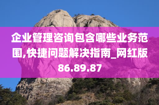 企业管理咨询包含哪些业务范围,快捷问题解决指南_网红版86.89.87